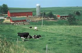Farm
